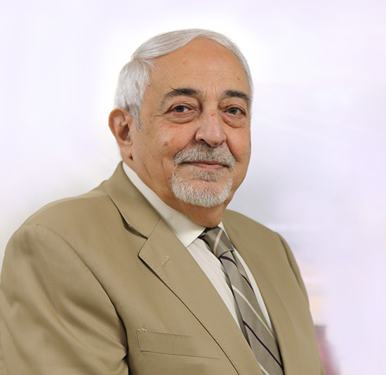 Ismail Rajar - CHSS | Consultant HSS